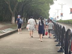 -碧海金沙