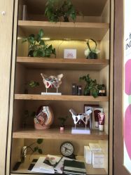 点击看大图 -英泽产后护理中心(南海总店)