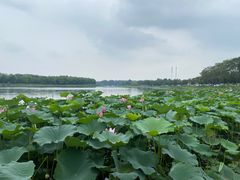 -素心小筑(后沙裕镇店)