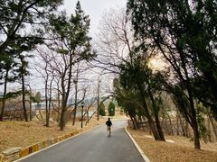-棒棰岛宾馆景区