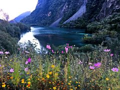 -叠溪松坪沟景区