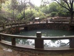 -白马涧龙池景区