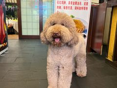 -宋园·金宴浙鲜馆(静安店)