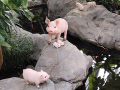 -北京植物园-展览温室