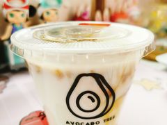 -油梨树 AVOCADO TREE(亮马桥店)
