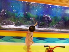 -中国宋庆龄青少年科技文化交流中心