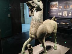 -广西壮族自治区博物馆