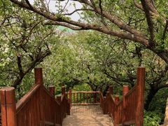 -七彩云南古滇温泉山庄