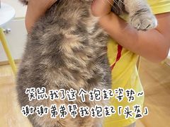 -猫咪派对(江南西店)