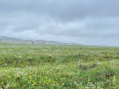 -塞罕坝国家级自然保护区