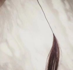 点击看大图 -BM SALON