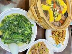 -金洲美食(高新店)