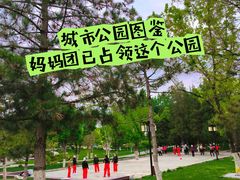 -西海子公园
