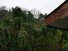 -龙井壹号·茶缘山景宴(龙井村店)