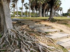 -黄金海岸环岛路