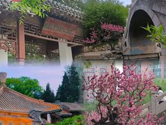 -团结湖公园
