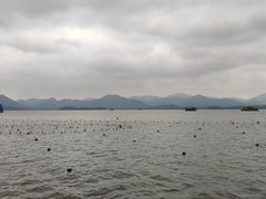 -杭州君悦酒店