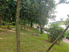 -南国桃园旅游度假区