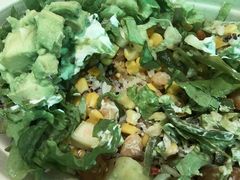 -油梨树AVOCADO TREE(望京店)