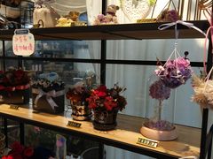 -植物学家的女儿(北马道巷店)