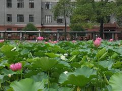 -四川大学(望江校区)
