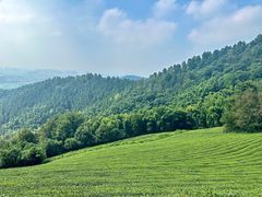 -敬亭山风景名胜区