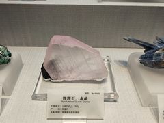 -湖南省地质博物馆