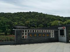 -龙寺生态园