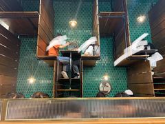 -肥韬茶餐厅(南山mini店)