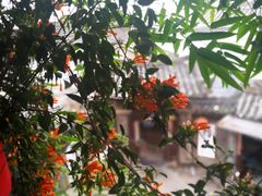 -香满楼(临安路店)