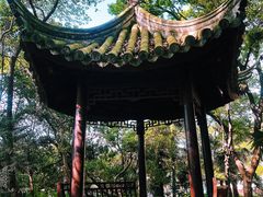 -汇龙潭