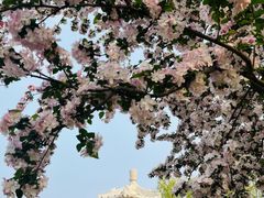 -中华石雕艺术园