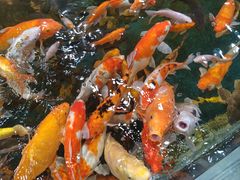 -上海大自然野生昆虫馆(东方明珠·爬宠昆虫探索中心)