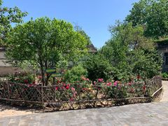 -王家大院