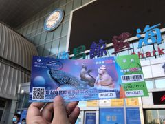 -烟台海昌鲸鲨海洋公园