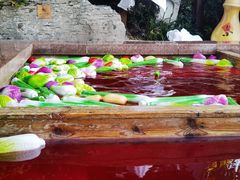 -天目湖涵田半山温泉