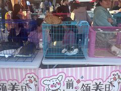 -仲盛世界商城