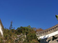 -广州神农草堂中医药博物馆