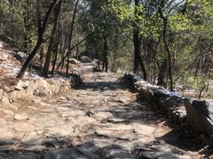 -阳台山自然风景区