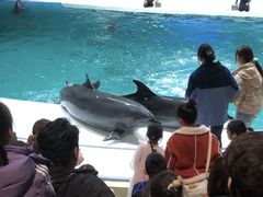 -锦艺城海洋馆
