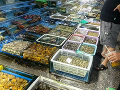 -霞涌市场海鲜摆卖区