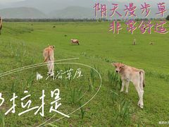 -新疆那拉提国家旅游度假区