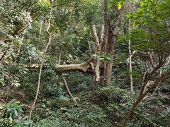 -福清灵石山国家森林公园
