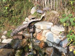 -大连天门山国家森林公园