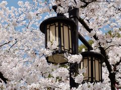 -苏州上方山国家森林公园