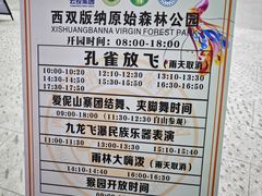 -西双版纳原始森林公园
