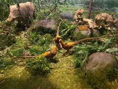 -陕西自然博物馆