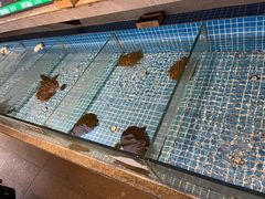 -绿草地·湘菜(酃湖师院店)