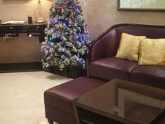 -金美华轩(东方路齐鲁店)
