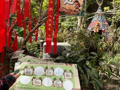 -呀路古热带植物园